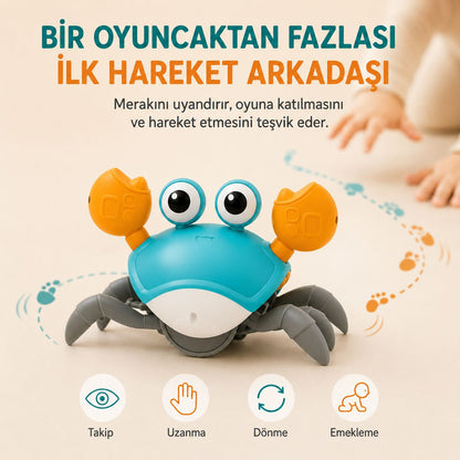 Luvoon™ Yengeç Emekleme Oyuncağı