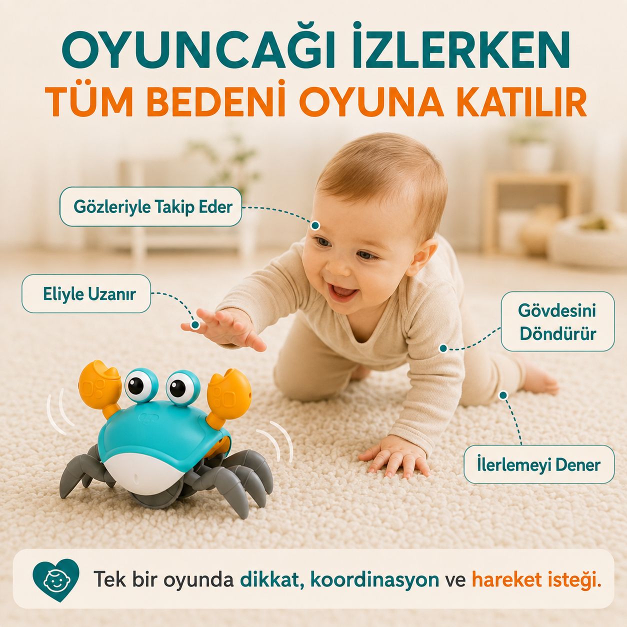 Luvoon™ Yengeç Emekleme Oyuncağı