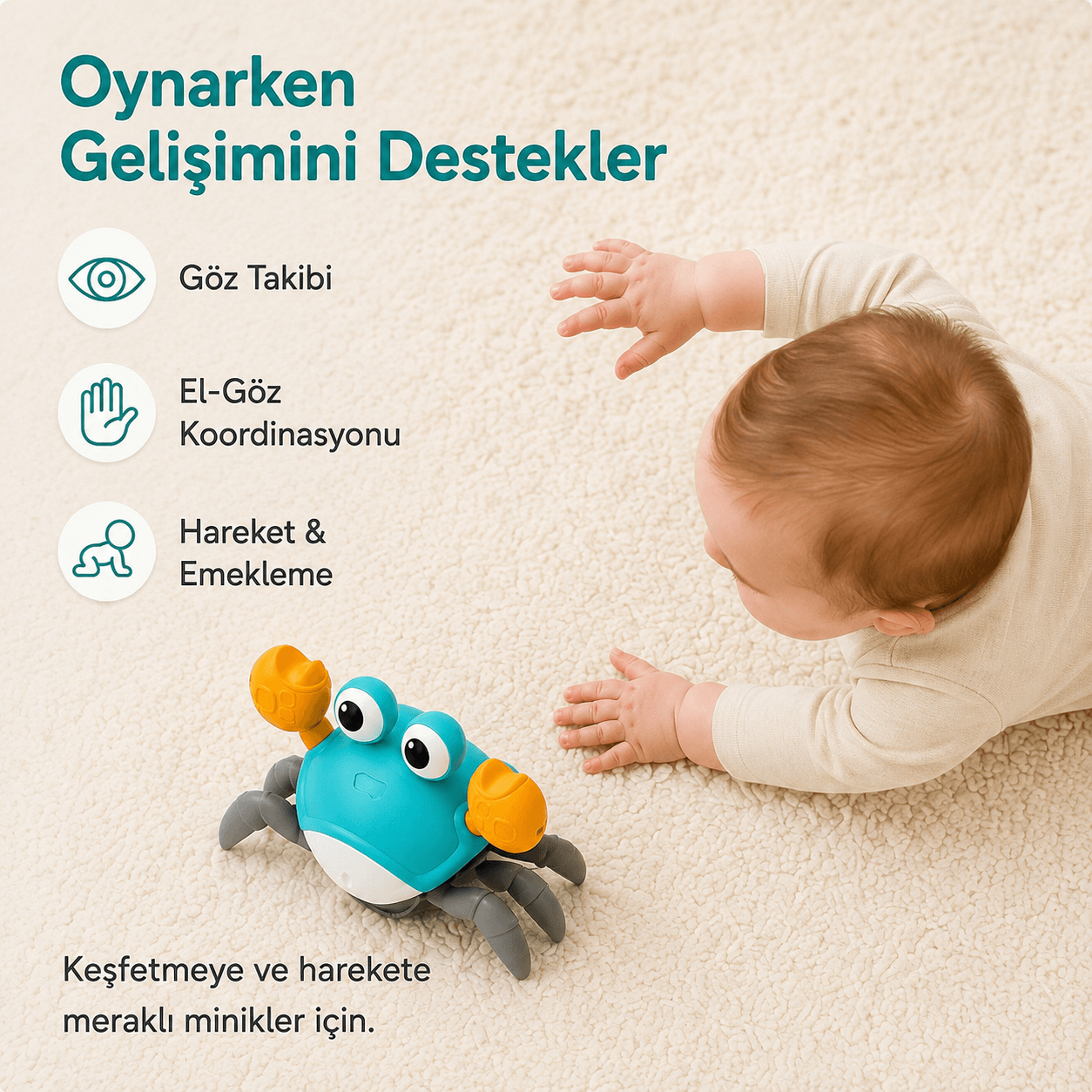 Luvoon™ Yengeç Emekleme Oyuncağı