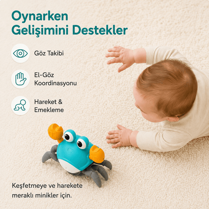 Luvoon™ Yengeç Emekleme Oyuncağı